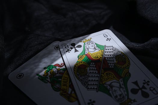 IndianBet India Live Stream: Sports, Casino, And Betting Platforms Overview